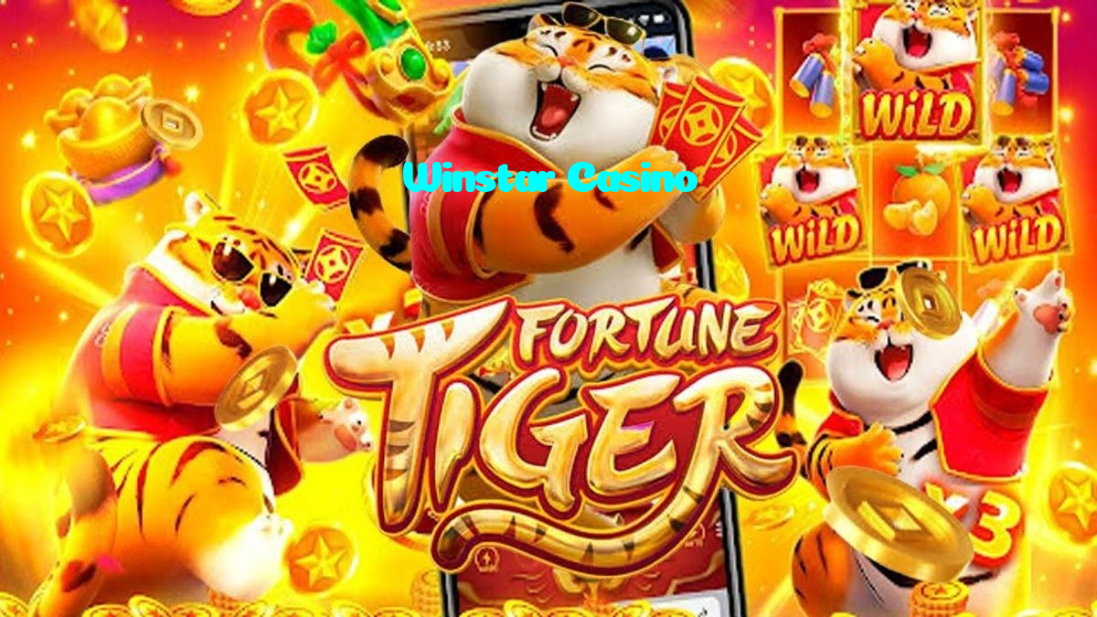 available types of Winstar Casino bet including pre-match live express and system bets